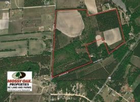 SOLD!!  89 Acres of Timber and Farm Land For Sale in Hoke County NC!