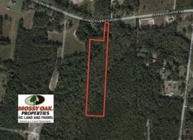 SOLD!!  5 Acres of Residential and Hunting Land For Sale in Brunswick County NC!