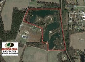 SOLD!!  46 Acres of Recreational Land For Sale in Robeson County NC!