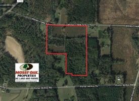 SOLD!! 26 Acres of Farm and Timber Land with Home Site For Sale in Bladen County NC!