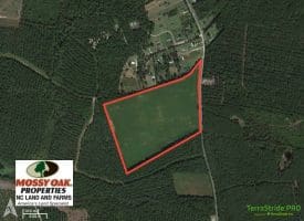 SOLD!! 40 Acre Farm for Sale in Brunswick County NC!