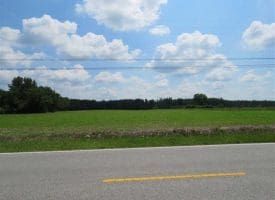 SOLD!!  45 Acres of Farm and Timber Land For Sale in Robeson County NC!