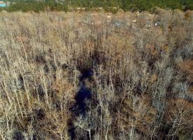 SOLD!!  21 Acres of Residential and Hunting Land in Pender County NC!