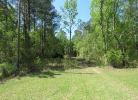 SOLD!!  9 Acres of Residential and Hunting Land in Pender County NC!