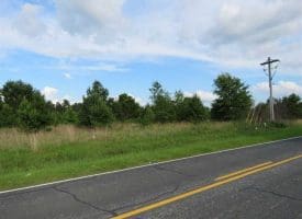 SOLD!!  44 Acres of Residential Land in Robeson County NC!