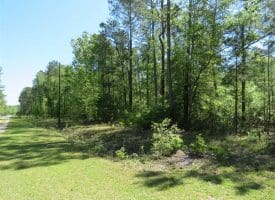 SOLD!!  9 Acres of Residential and Hunting Land in Pender County NC!