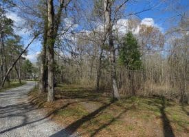 SOLD!!  21 Acres of Residential and Hunting Land in Pender County NC!