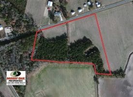 SOLD!!  10 Acres of Farm and Timber Land For Sale in Robeson County NC!