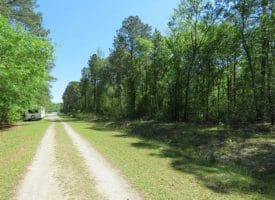 SOLD!!  9 Acres of Residential and Hunting Land in Pender County NC!