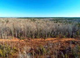 SOLD!!  10 Acres of Residential and Hunting Land For Sale in Moore County NC!