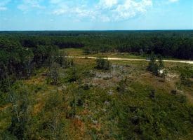 SOLD!!  10 Acres of Residential and Hunting Land For Sale in Moore County NC!