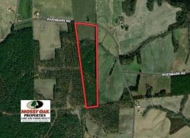 SOLD!!  29 Acres of Farm and Timber Land For Sale in Duplin County NC!