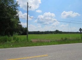 SOLD!!  45 Acres of Farm and Timber Land For Sale in Robeson County NC!