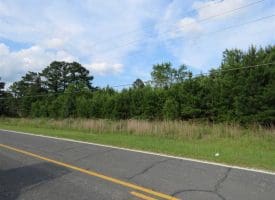 SOLD!!  44 Acres of Residential Land in Robeson County NC!