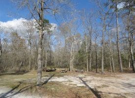 SOLD!!  21 Acres of Residential and Hunting Land in Pender County NC!