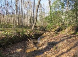 SOLD!!  50 Acres of Hunting and Timber Land For Sale in Lee County NC!