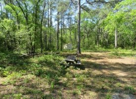 SOLD!!  9 Acres of Residential and Hunting Land in Pender County NC!