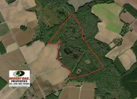 SOLD!!  174 Acres of Hunting Land For Sale in Dillon County SC!