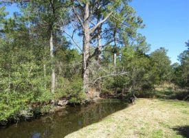 SOLD!!  41 Acres of River Front Hunting Land For Sale in Carteret County NC!