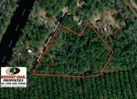 SOLD!!  9 Acres of Residential and Hunting Land in Pender County NC!