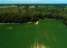 SOLD!!  35 Acres of Farm and Hunting Land For Sale in Duplin County NC!