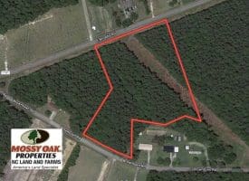 SOLD!!  7 Acres of Residential Land For Sale in Bladen County NC!