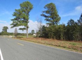 SOLD!!  55 Acres of Farm and Timber Land For Sale in Robeson County NC!