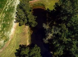 SOLD!!  15 Acres of Farm Land For Sale in Robeson County NC!