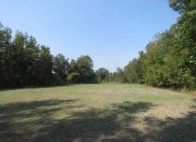 SOLD!!  174 Acres of Hunting Land For Sale in Dillon County SC!