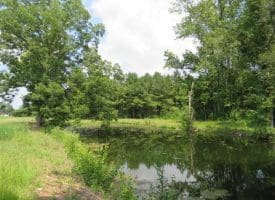 SOLD!!  15 Acres of Farm Land For Sale in Robeson County NC!