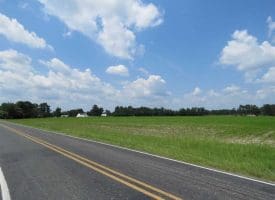 SOLD!!  15 Acres of Farm Land For Sale in Robeson County NC!