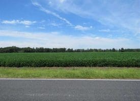 SOLD!!  35 Acres of Farm and Hunting Land For Sale in Duplin County NC!