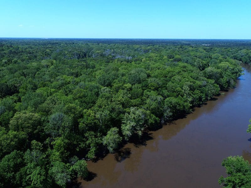 140+/ Acres of River Front Hunting Land For Sale in Bladen County NC! Rock Creek Land Company
