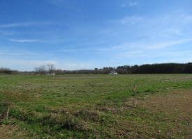 Residential Lots For Sale in Columbus County NC!