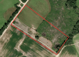 14 +/- Acres of Farm and Timber Land with Home Site For Sale in Robeson County NC!