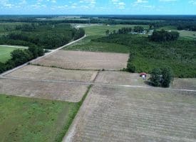 14 +/- Acres of Farm and Timber Land with Home Site For Sale in Robeson County NC!