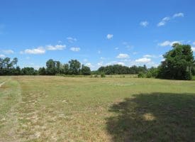 14 +/- Acres of Farm and Timber Land with Home Site For Sale in Robeson County NC!