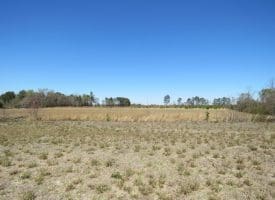 14 +/- Acres of Farm and Timber Land with Home Site For Sale in Robeson County NC!