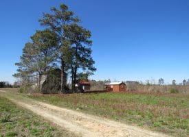 14 +/- Acres of Farm and Timber Land with Home Site For Sale in Robeson County NC!