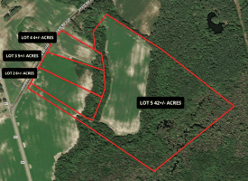 6+/- Acre Lot For Sale in Robeson County NC!