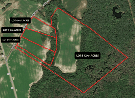 5+/- Acre Lot For Sale in Robeson County NC!