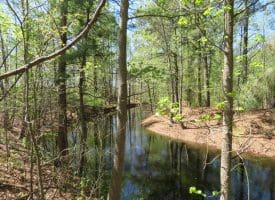 15 +/- Acre Farm With Pond For Sale in Robeson County NC!
