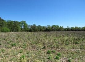 4+/- Acre Lot For Sale in Robeson County NC!