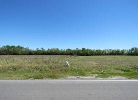 6+/- Acre Lot For Sale in Robeson County NC!