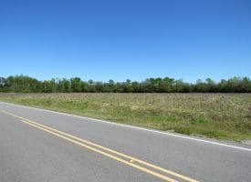 6+/- Acre Lot For Sale in Robeson County NC!