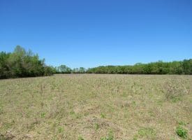 42+/- Acres of Farm and Hunting Land For Sale in Robeson County NC!