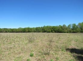 42+/- Acres of Farm and Hunting Land For Sale in Robeson County NC!