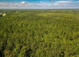 11.66+/- Acres of Residential Development Land For Sale in Brunswick County NC!