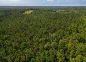 11.66+/- Acres of Residential Development Land For Sale in Brunswick County NC!