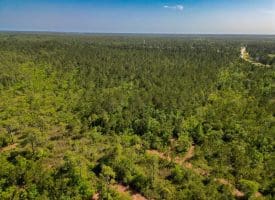 11.66+/- Acres of Residential Development Land For Sale in Brunswick County NC!